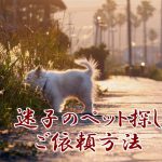 迷子のペット探しご祈祷依頼方法