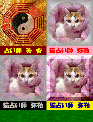 【無料】31年4月度の猫占い
