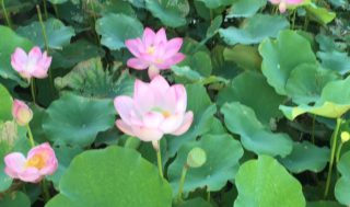 店舗移転リニューアルと4月休業のお知らせ