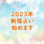 2023年新猫占い始まります