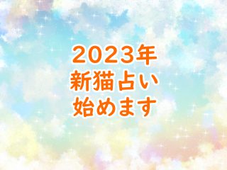 2023年新猫占い始まります