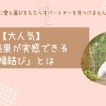 【大人気】効果結果が実感できる「縁結び」とは
