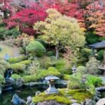 高野山に行ってまいりました