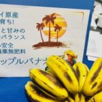 アップルバナナをいただきました