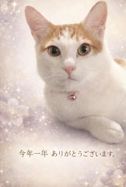 2025年年末のご挨拶