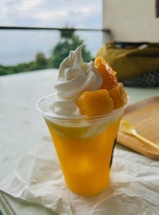 塩ソフトマンゴー